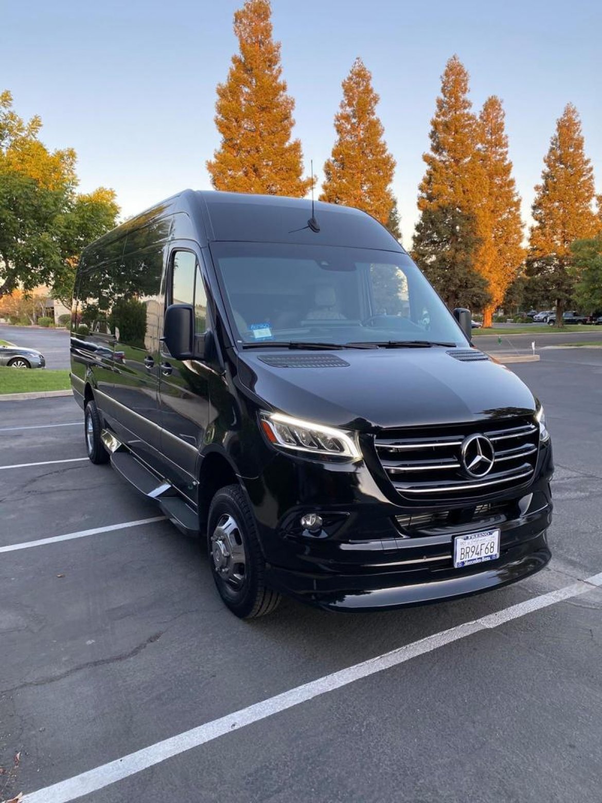 Used 2020 Mercedes-Benz Sprinter Limousine for sale #WS-16077 | We Sell  Limos